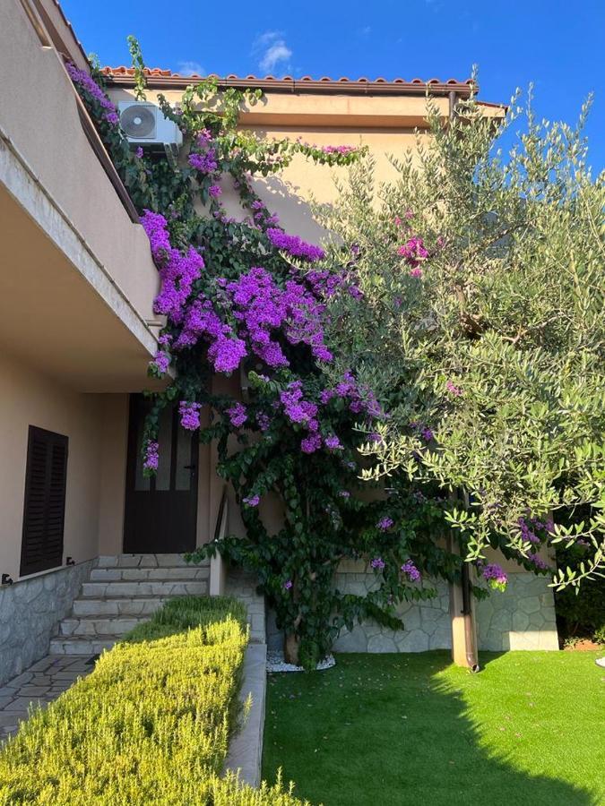 Apartments House Barbara Kornić エクステリア 写真