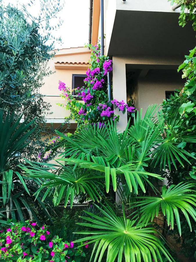 Apartments House Barbara Kornić エクステリア 写真